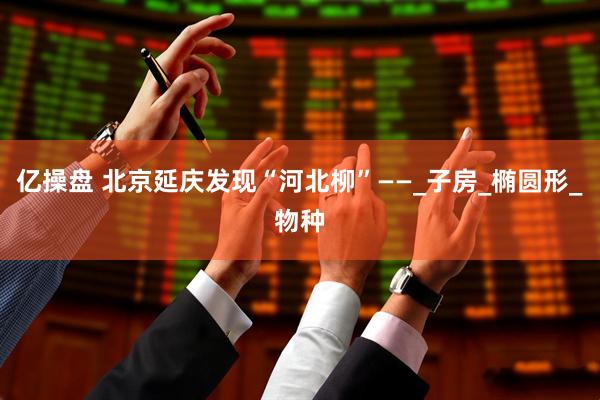 亿操盘 北京延庆发现“河北柳”——_子房_椭圆形_物种