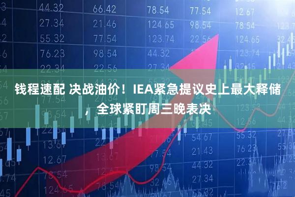 钱程速配 决战油价！IEA紧急提议史上最大释储，全球紧盯周三晚表决